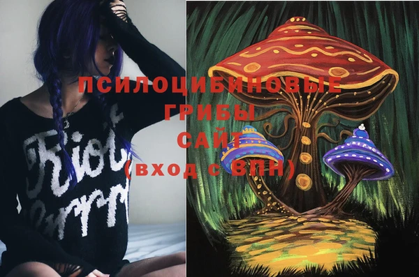 первитин Ельня