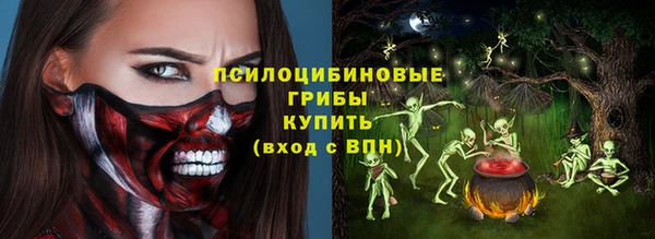 первитин Ельня