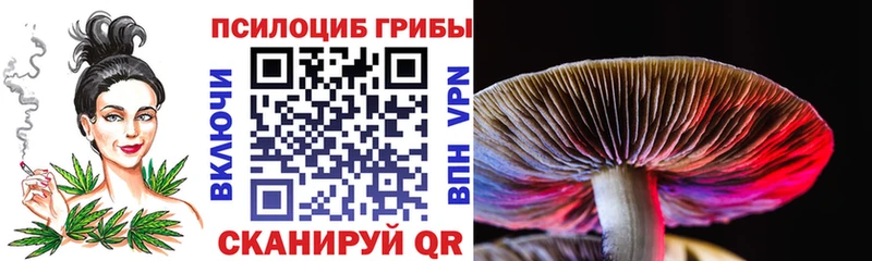Купить закладки  Тулун  Галлюциногенные грибы Psilocybe 