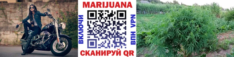 Шишки марихуана план  Купить закладки  Тулун 